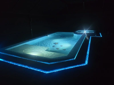 Florida Pool Builder Gallery | Magic Pools Design Ideas